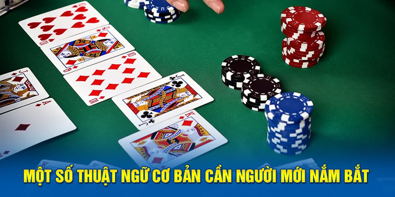 mot-so-thuat-ngu-co-ban-can-nguoi-moi-nam-bat