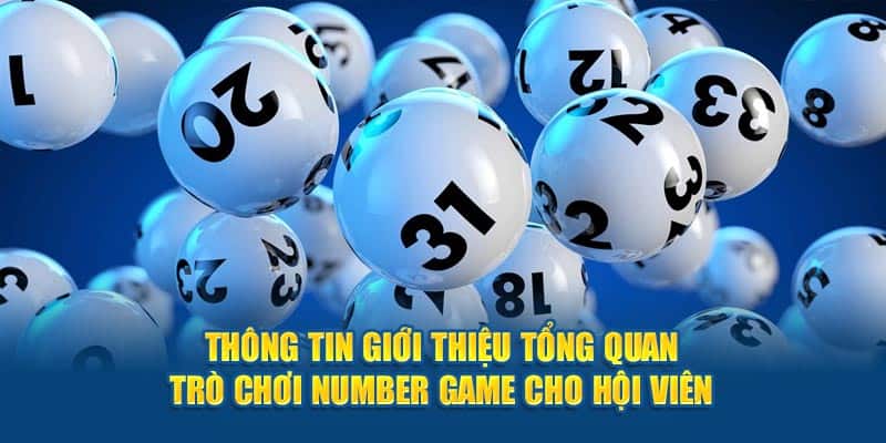 thong-tin-gioi-thieu-tong-quan-tro-choi-number-game-cho-hoi-vien